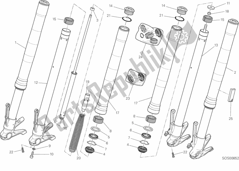 All parts for the Front Fork of the Ducati Monster 797 Brasil 2019